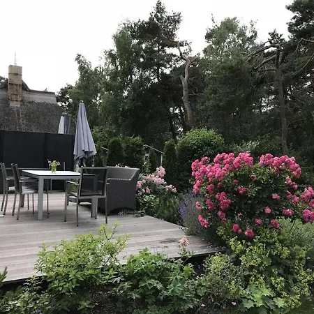 House Dune Forest B 公寓 奥茨塞巴德·迪尔哈根