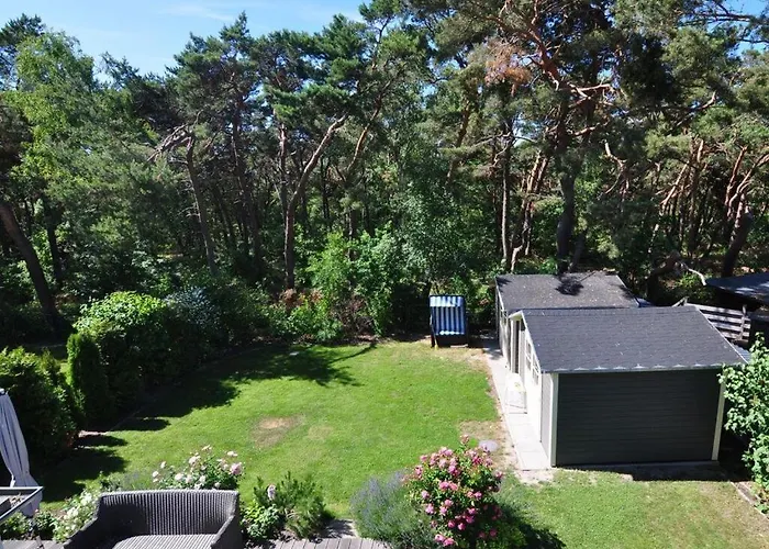 House Dune Forest B